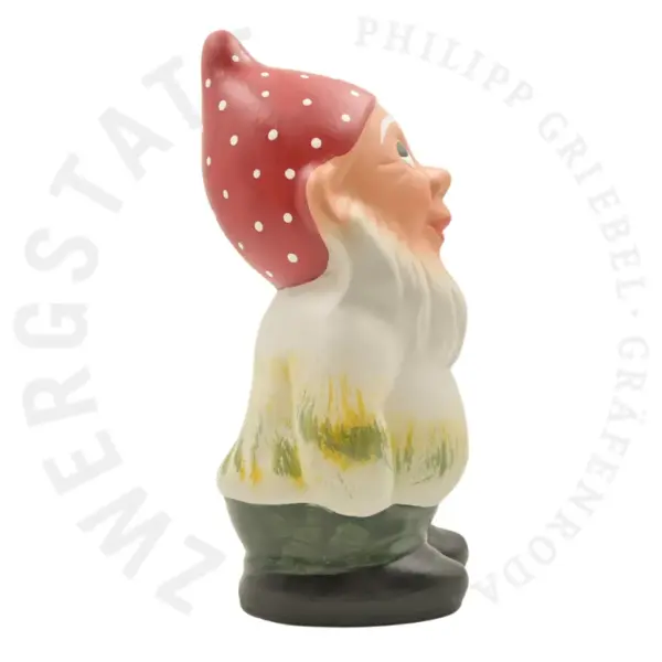 Bert der Mykologe – Bild 4